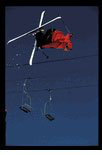 Jonny Mosley on White Gold 2010.Gold